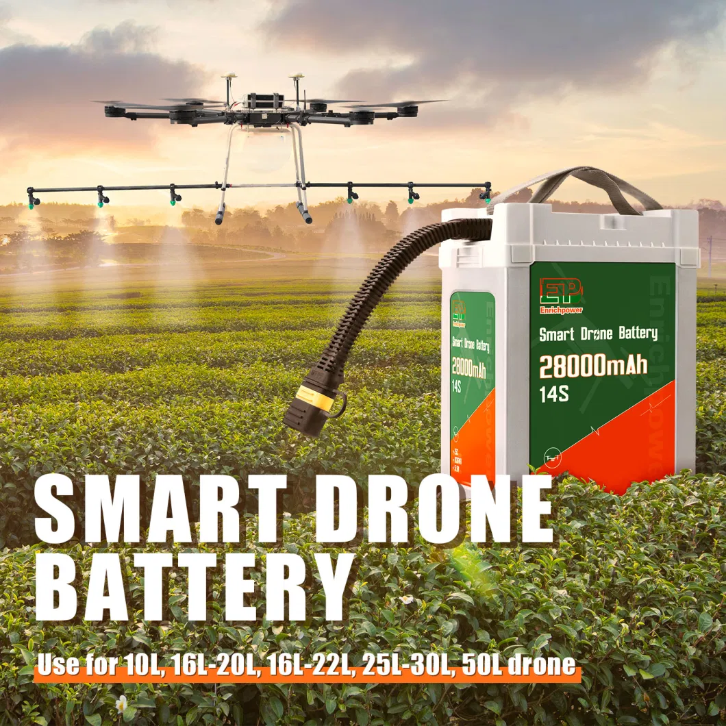 Módulo de alimentación de drones personalizado con batería de 51.8V Módulo de drones de vuelo AC-DC 2