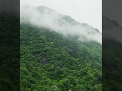 Sistema de drones atados DJI FC30 FlyCart 30 fabricado por MYUAV