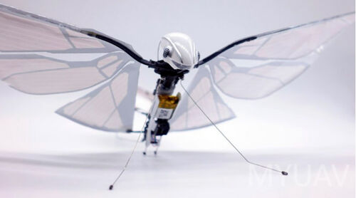 últimas noticias de la empresa sobre Análisis teórico de la tecnología biónica de drones, tecnología de drones de alas aletables explicación detallada